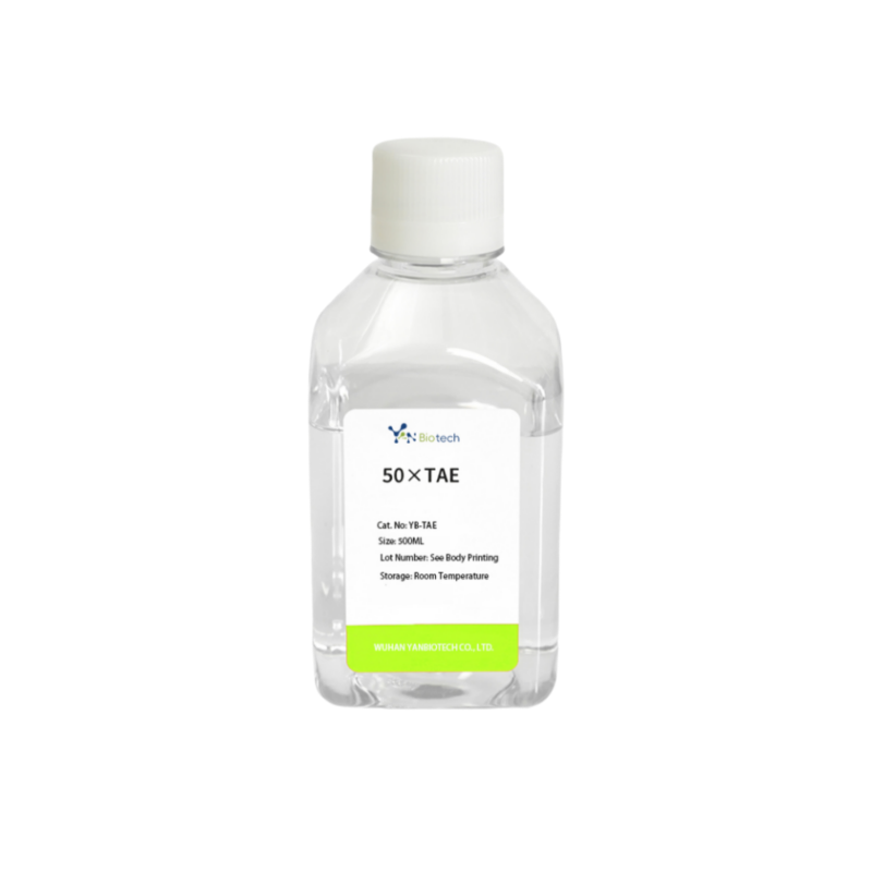 Laboratory Reagent for Electrophoresis