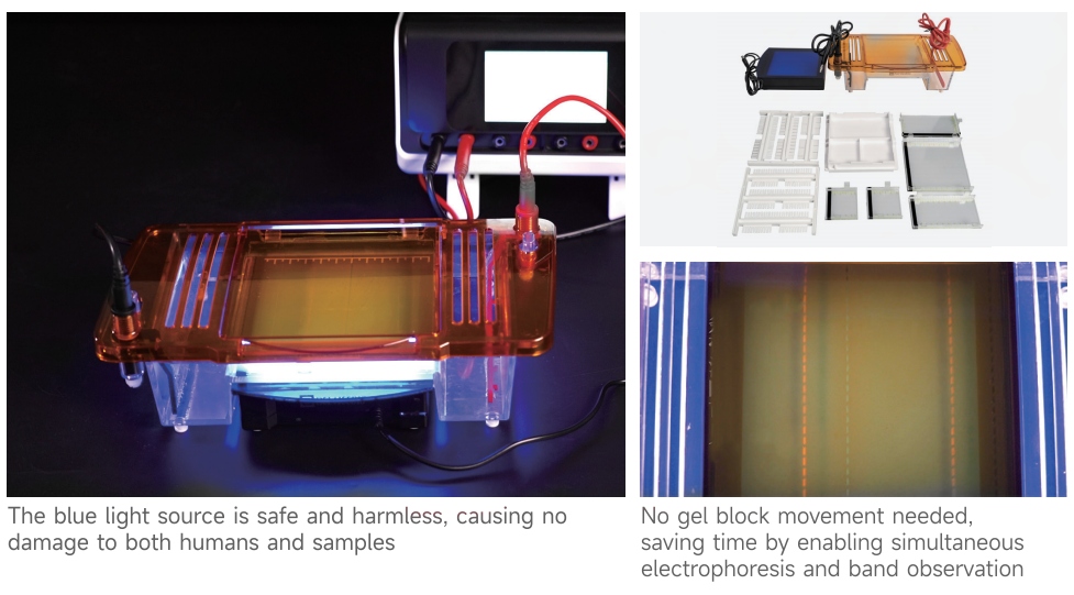 Horizontal Electrophoresis Tank