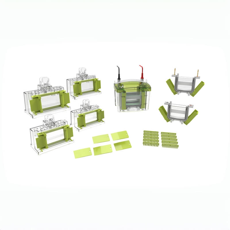 Vertical Electrophoresis Tank