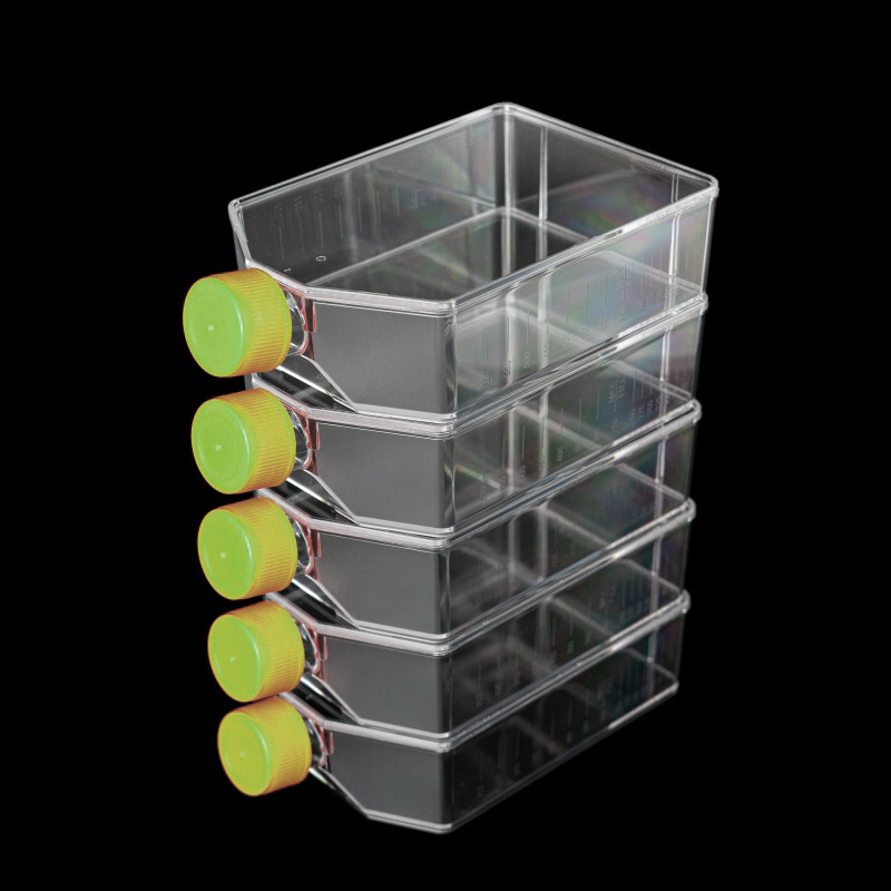 Cell Culture Flask