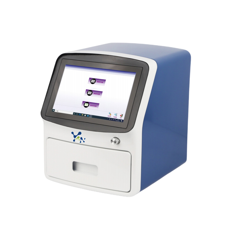 Gel Documentation System