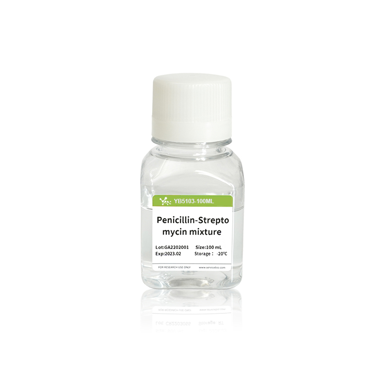 Double Antibiotics