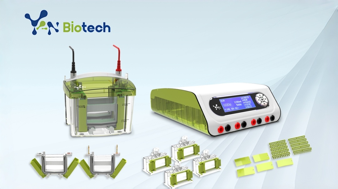 Electrophoresis Power Supply