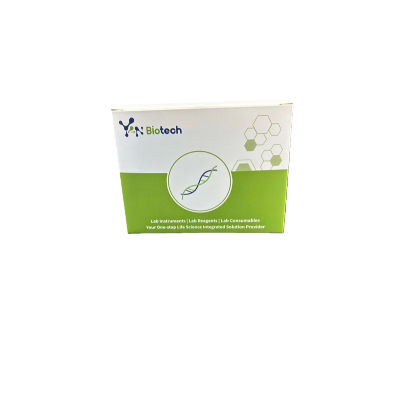 HighPure Plasmid Extraction Mini Kit (Spin Column)