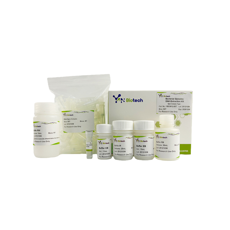 Bacteria DNA Extraction Kit