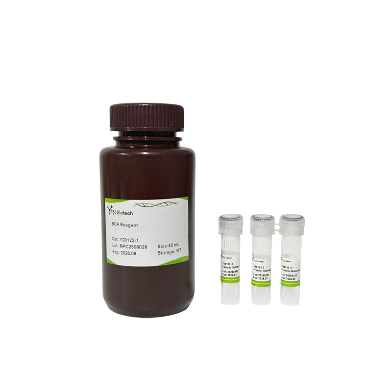 BCA Protein Concentration Determination Kit