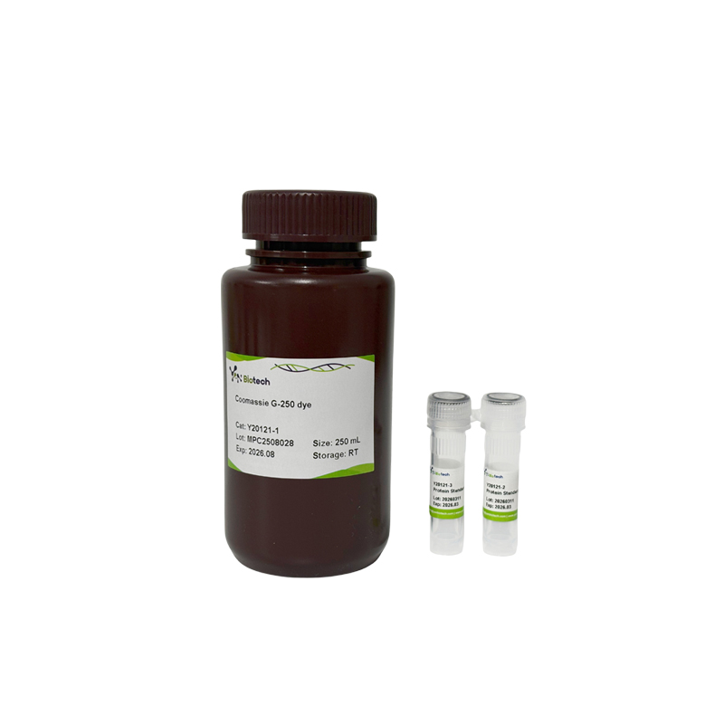 Coomassie (Bradford) Protein Quantitative Assay Kit