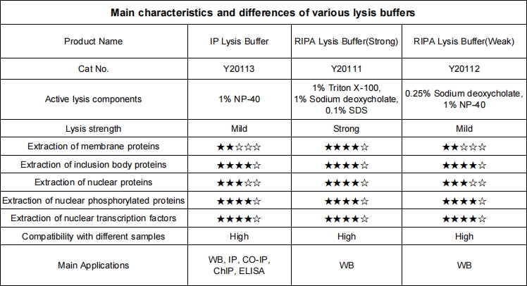 Lysis Buffer