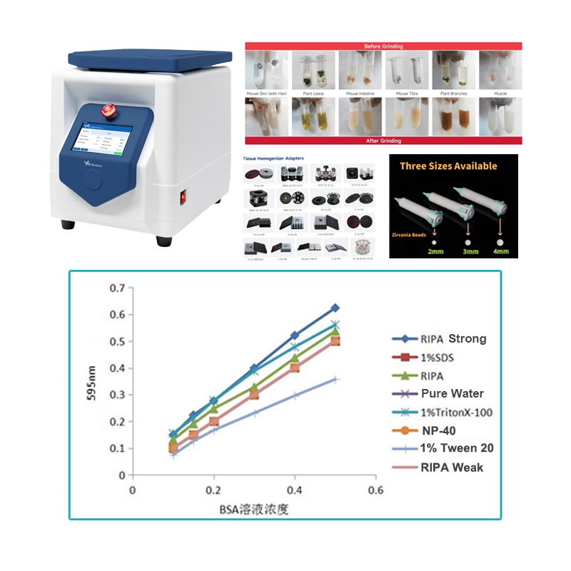 Essential Reagents for Protein Extraction: A Comprehensive Guide